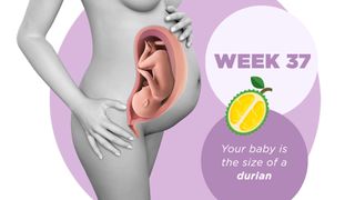 Pregnancy week by week 37