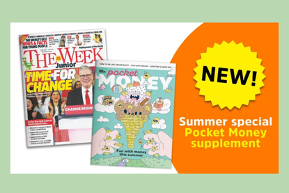 Pocket money supplement download