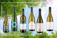 A collage of six of the best Aldi wines for summer 2024